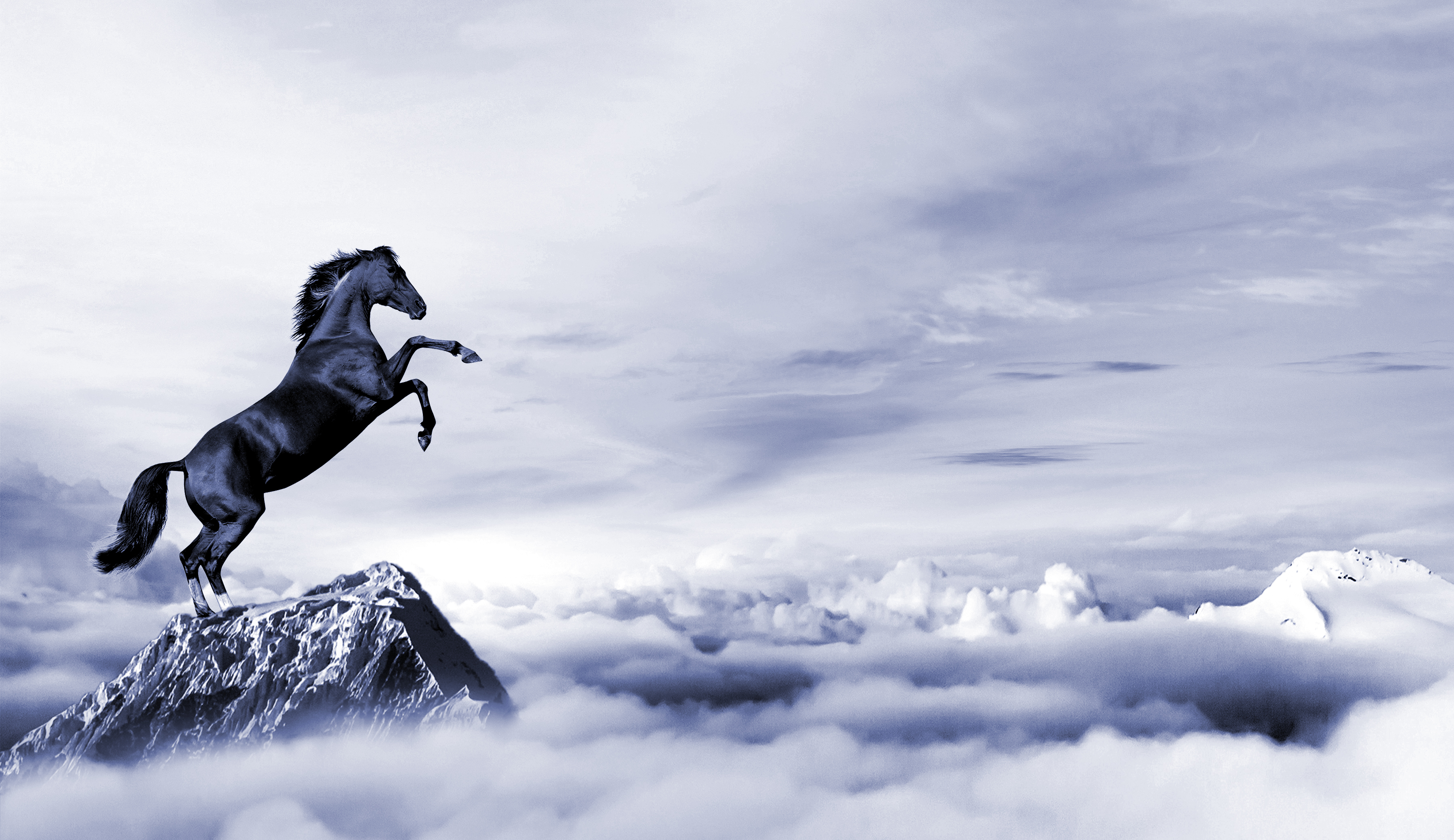 生產(chǎn)風管廠家(jiā) 生產風管廠家